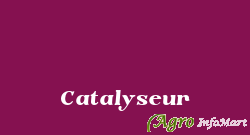 Catalyseur