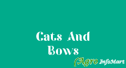 Cats And Bows ahmedabad india