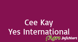 Cee Kay Yes International