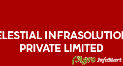 Celestial Infrasolutions Private Limited