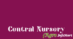 Central Nursery