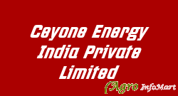 Ceyone Energy India Private Limited mumbai india