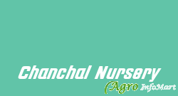 Chanchal Nursery