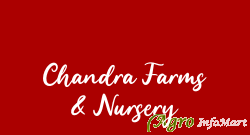 Chandra Farms & Nursery