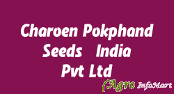 Charoen Pokphand Seeds (India) Pvt Ltd