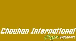 Chauhan International ahmedabad india