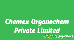 Chemex Organochem Private Limited
