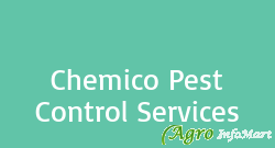 Chemico Pest Control Services delhi india