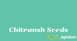 Chitransh Seeds