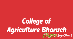 College of Agriculture Bharuch