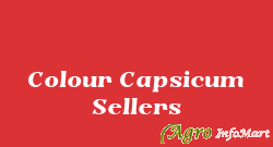 Colour Capsicum Sellers