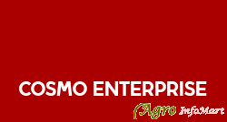 Cosmo Enterprise