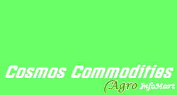 Cosmos Commodities coimbatore india
