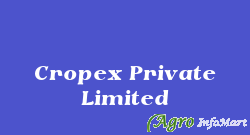 Cropex Private Limited bangalore india