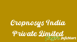 Cropnosys India Private Limited mumbai india
