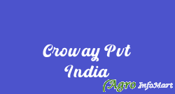 Croway Pvt India