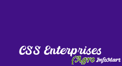 CSS Enterprises