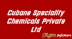 Cubane Speciality Chemicals Private Ltd hyderabad india