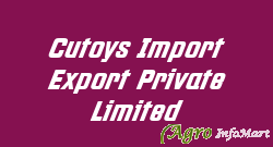 Cutoys Import Export Private Limited