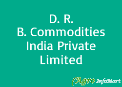 D. R. B. Commodities India Private Limited ahmedabad india