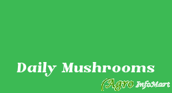 Daily Mushrooms