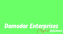 Damodar Enterprises, nashik india