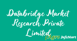 Databridge Market Research Private Limited pune india