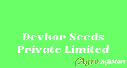 Devkor Seeds Private Limited ahmedabad india