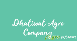 Dhaliwal Agro Company ludhiana india