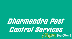 Dharmendra Pest Control Services delhi india