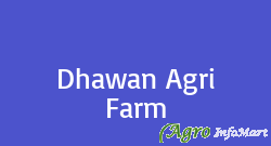 Dhawan Agri Farm jalandhar india