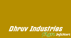 Dhruv Industries