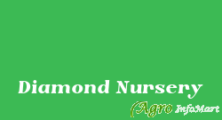 Diamond Nursery