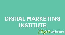 Digital Marketing Institute delhi india