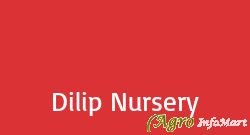 Dilip Nursery