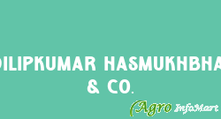Dilipkumar Hasmukhbhai & Co. patan india