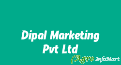 Dipal Marketing Pvt Ltd ahmedabad india