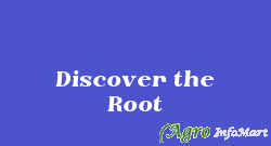 Discover the Root delhi india