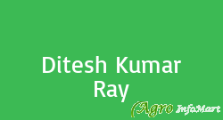 Ditesh Kumar Ray ambikapur india