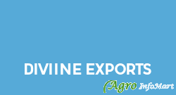 Diviine Exports