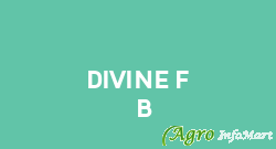 Divine F & B