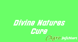 Divine Natures Cure