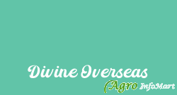 Divine Overseas
