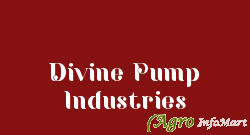 Divine Pump Industries