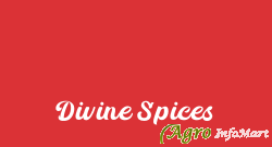 Divine Spices
