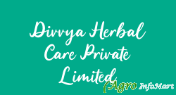 Divvya Herbal Care Private Limited