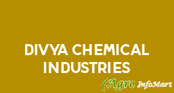 Divya Chemical Industries vadodara india