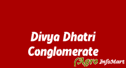 Divya Dhatri Conglomerate