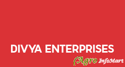 Divya Enterprises delhi india