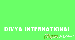 Divya International
